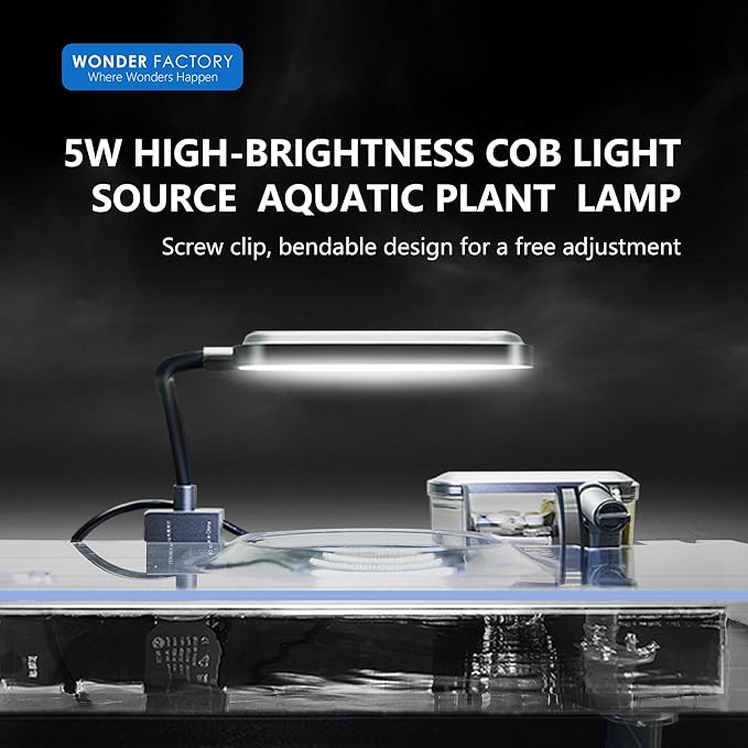 Small Aquarium Starter Kit, 2.6 Gallon Glass Betta Fish Tank with Heater Self Cleaning System Efficiency Filter Bright Light Rocks Gravel Cleaning Tool Set, Leak-Proof Ultra-Clear Rimless Desktop Tank