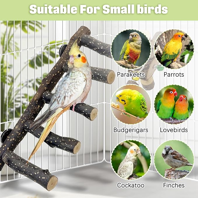 BNOSDM Natural Wood Bird Ladder Perch with Rotating Bell Toys-Exercise Stands for Parrot Climbing Chewing Parakeet Bridge Cage Accessories for Cockatiel, Conures, Lovebirds, Budgie