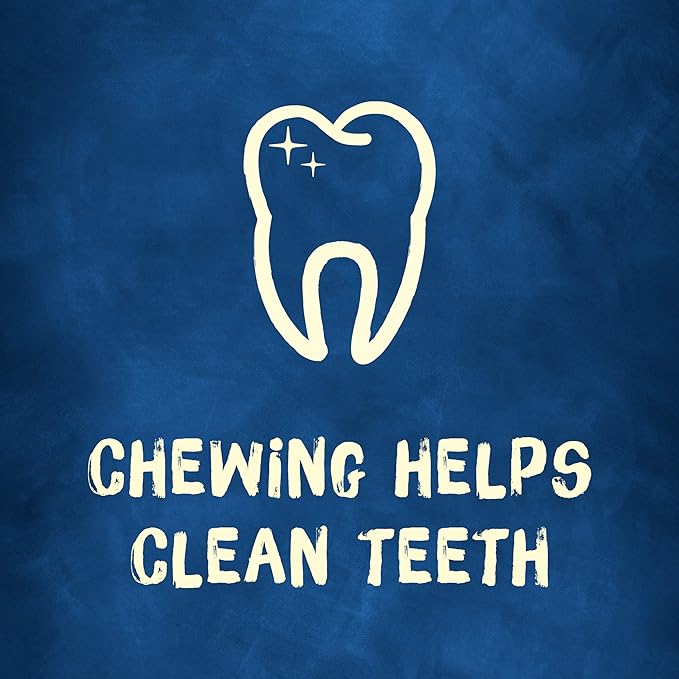 Purina Busy Bone Adult Dog Chew Bone Treats, Peanut Butter - 10 ct. Pouch