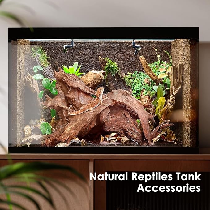 Natural Small Aquarium Driftwood for Fish Tanks & Reptile Terrariums – Safe Fish Tank Decorations, Unique Twisted Branches 10-Piece 2-4 Inch Low Tannin, Easy to Sink