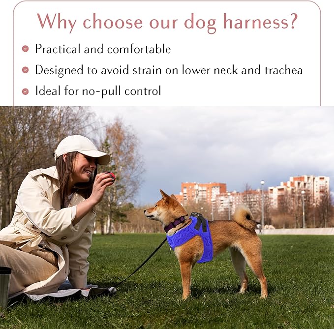 Comfort Fit Dog Harness Soft Padded No Pull Harness with Adjustable Buckles for Small Medium Large Dogs Step in Pet Vest with Easy Control Handle for Walking Jogging Running Training Dogs & Puppies