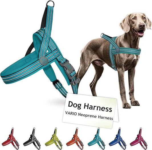 DOCO No-Pull Dog Harness Halter Reflective Easy-Control Harness for Training, Walking, and Preventing Pulling, Ideal for Medium Dogs(Turquoise)