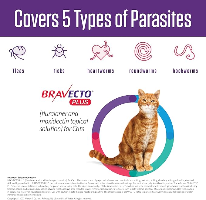 BRAVECTO Plus Topical Solution for Cats, Flea, Tick & Heartworm, 2 Months Supply, 2.6-6.2 lbs., Green Box