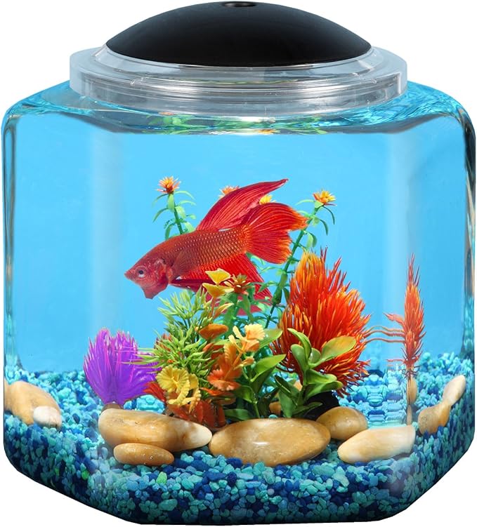Koller Products 2-Gallon Hex Aquarium Starter Tank - LED Lighting (7 Color Selections), Impact-Resistant Plastic Fish Bowl for Betta/Nano/Goldfish, Wedding Event & Home Decor