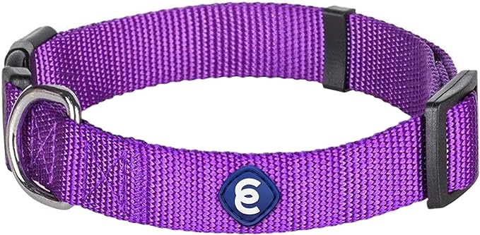 Blueberry Pet Essentials Matching Large Dog Collar | Adjustable Classic Solid Color Nylon Dog Collars for Large Dogs | Dark Orchid Dog Collar for Large Dogs