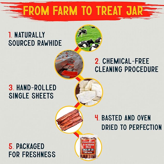 Canine Chews 10" Beef Basted Rawhide Bones for Large Dogs - 20 Pack - Hand-Rolled Dog Chews Basted in Beef Broth - Promotes Dental Health