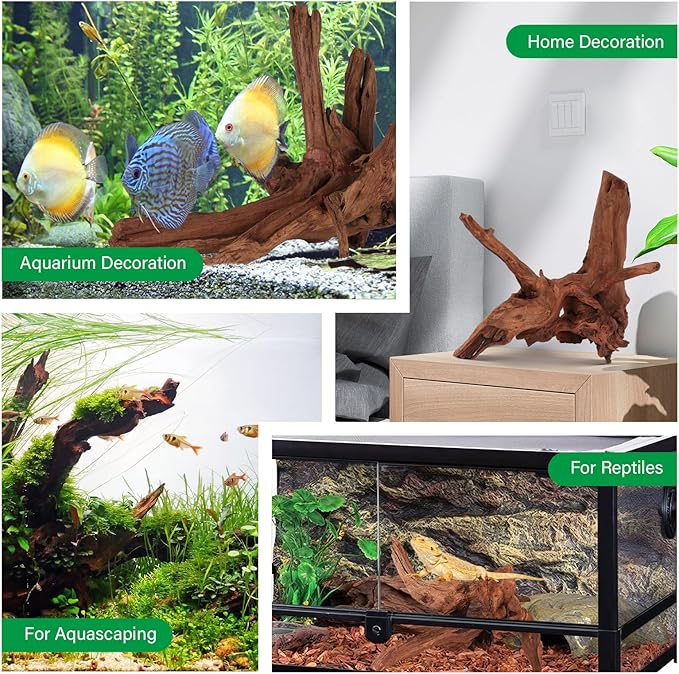 Driftwood for Aquarium Natural Aquarium Wood for Aquascaping Fish Tank Decorations Reptile Tank Decor (Natural Driftwood 6-10" (Pack of 3))