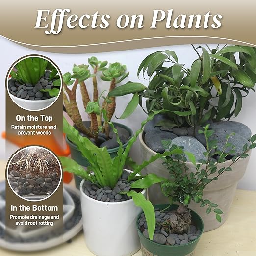 5 lbs Mexican Beach Pebbles, 2-3 Inch Decorative River Rocks for Fish Tank Aquarium Fountain, Decorative Pebbles for Garden Landscaping, Home Décor, Outdoor Paving Walkways Pathways Backyard