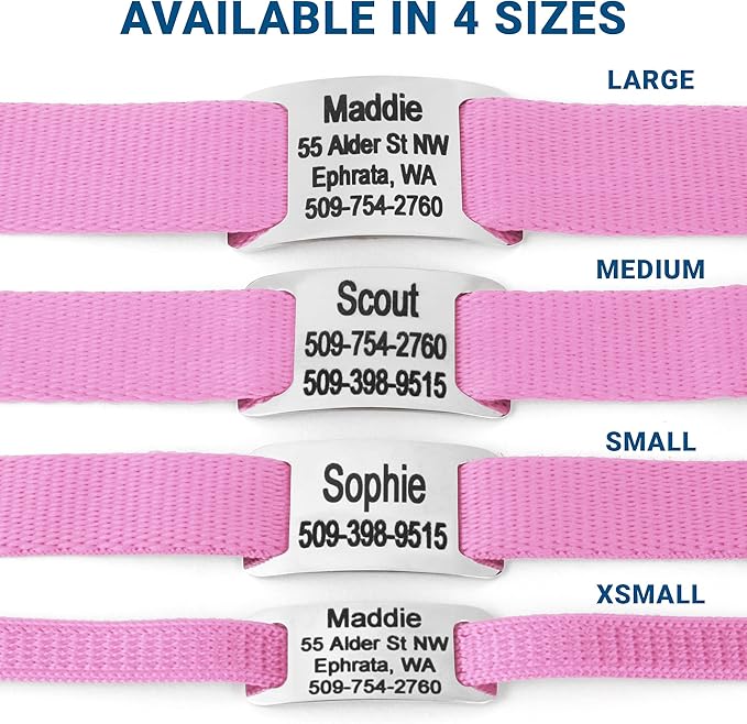 GoTags Personalized Dog Collar with Nameplate, Adjustable Dog Collar with Custom Engraved Slide On Pet ID Tag in Stainless Steel, Silent, No Noise Dog Tag for Large Medium and Small (Pink, X-Small)