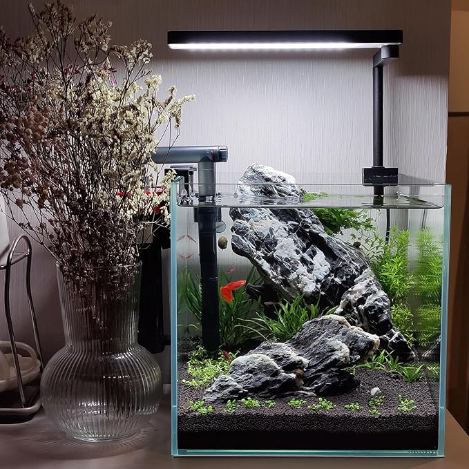 Natural Seiryu Dragon Stone - 20 Pound Aquarium Landscape Rock for Fish Tank Reptile and Amphibious Tank 3-10 Inch Aquarium Decoration