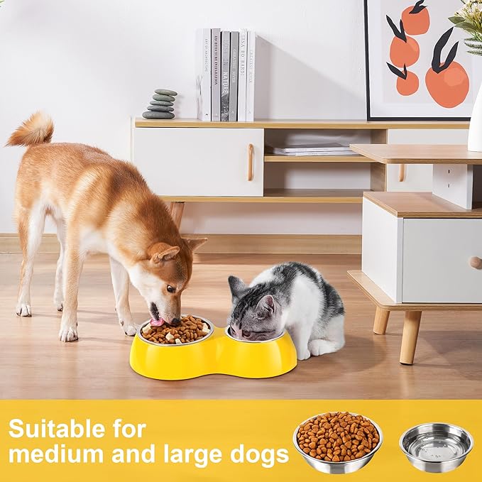 Elevated Dog Bowls Set - Non-Slip Raised Pet Feeder with Medium (2 Cups) & Large (4 Cups) Stainless Steel Bowls - Includes Durable Resin Stand for Puppies, Adult Dogs & Cats - Yellow