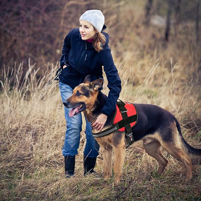 Dogline Dog Harness, Reflective No-Pull Adjustable Vest with Handle, Breathable No-Choke Harness for Small, Medium or Large Dogs Room for Patches Girth 22"-28" in Red