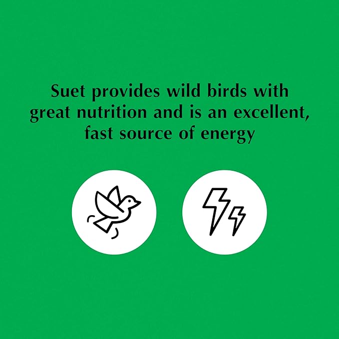 C&S Cranberry Delight No Melt Suet Dough 11.75 Ounces 8 Pack