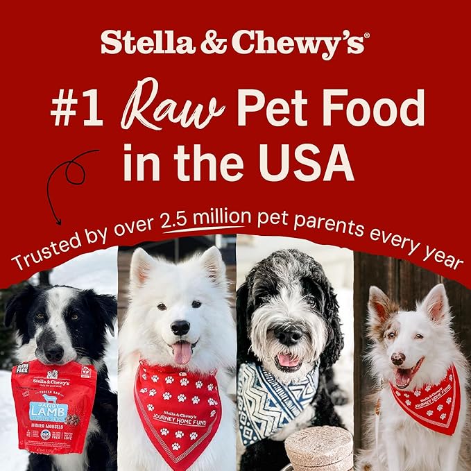 Stella & Chewy's Freeze-Dried Raw Dinner Patties - Dandy Lamb Recipe - High Protein Grain-Free Puppy & Dog Food - Perfect For Picky Eaters - 14 oz