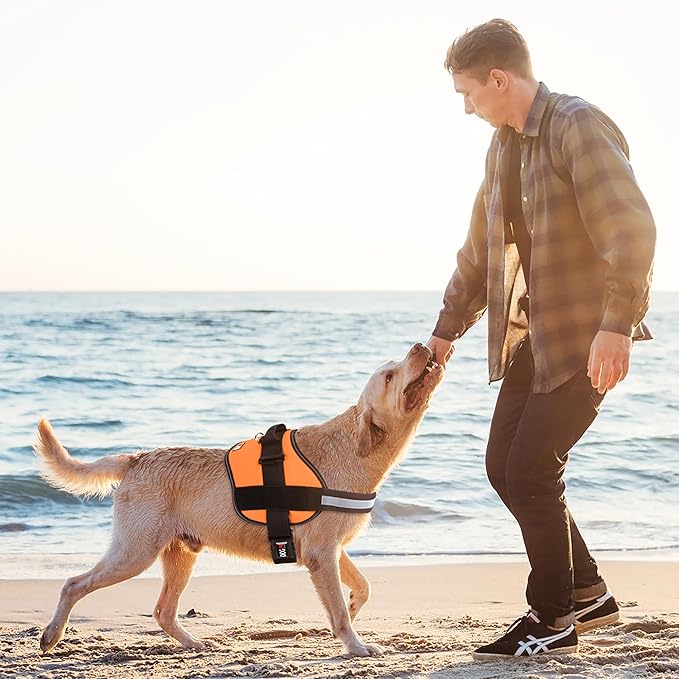 Dogline Dog Harness, Reflective No-Pull Adjustable Vest with Handle for Walking, Training, Breathable, No - Choke Harness for Small, Medium or Large Dogs Room for Patches Girth 33"-46" in Orange