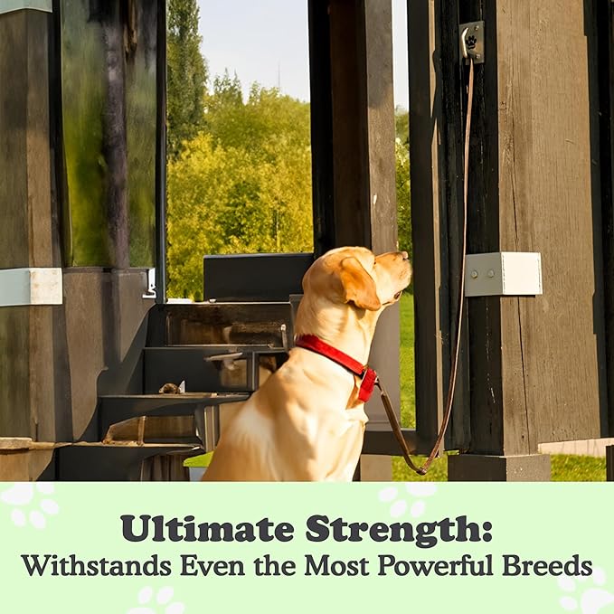 Canine Hitch- Secure Dog Leash Parking Mounted Indoor – Outdoor Wall Hook - Tie Out Stainless Steel Practical Lead Management for Home & Business, Ultimate Strength 6 Packs