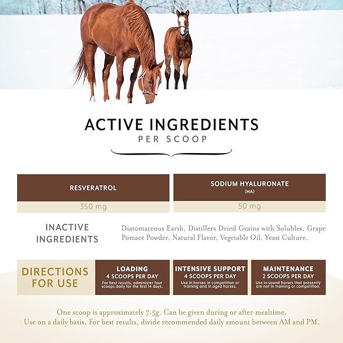 Equithrive Original Joint Supplement Powder with Resveratrol and Hyaluronic Acid for Horses, Equine Care, Molasses Flavor, 8 lbs