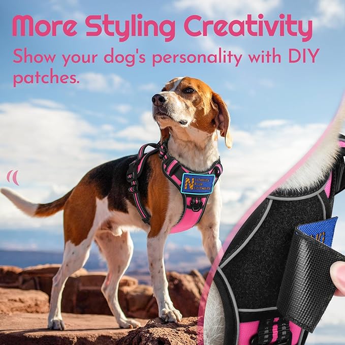 Eagloo Dog Harness Small Sized, Easy Wearing with 3 Buckles, Adjustable No Pull Pet Harness with 2 Rings for Walking, No Chock Reflective Soft Padded Vest with Control Handle, Pink & Black, S