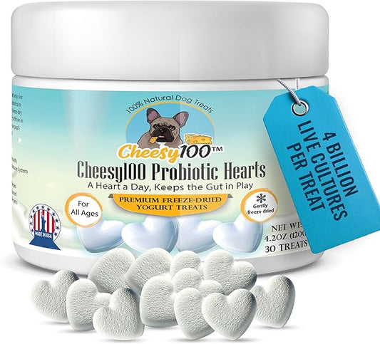 – Crunchy Probiotic Dog Treats with 4 Billion Cultures – Freeze-Dried Yogurt Hearts for Gut Health