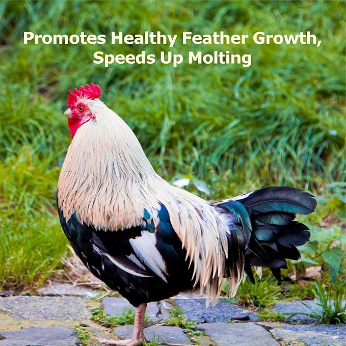 5LB Dried Black Soldier Fly Larvae, More Calcium Than Dried Mealworms, High Protein Chicken Feed,Duck Food, BSFL, Poultry Treats