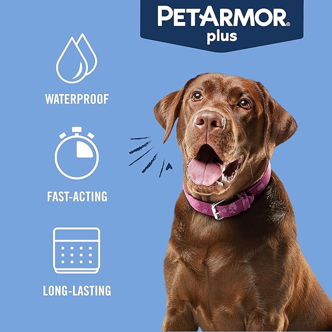 PetArmor Plus Flea and Tick Prevention for Dogs, Dog Flea and Tick Treatment, 12 Doses, Waterproof Topical, Fast Acting, Small Dogs (5-22 lbs)