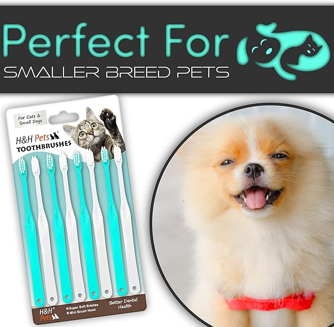 H&H Pets Toothbrush for Small Dogs & Cats - Soft and Extra Small Toothbrush Designed for Cats, Puppies, and XS Breed Dogs Like Teacups, Chihuahuas, Yorkshire, and Poodle, 8 Count Pack