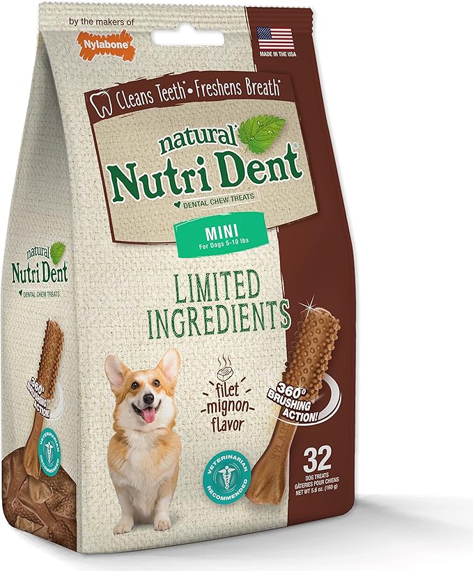 Nylabone Nutri Dent Dog Dental Chews - Natural Dog Teeth Cleaning & Breath Freshener - Dental Treats for Dogs - Filet Mignon Flavor, Mini (32 Count) (Pack of 2)