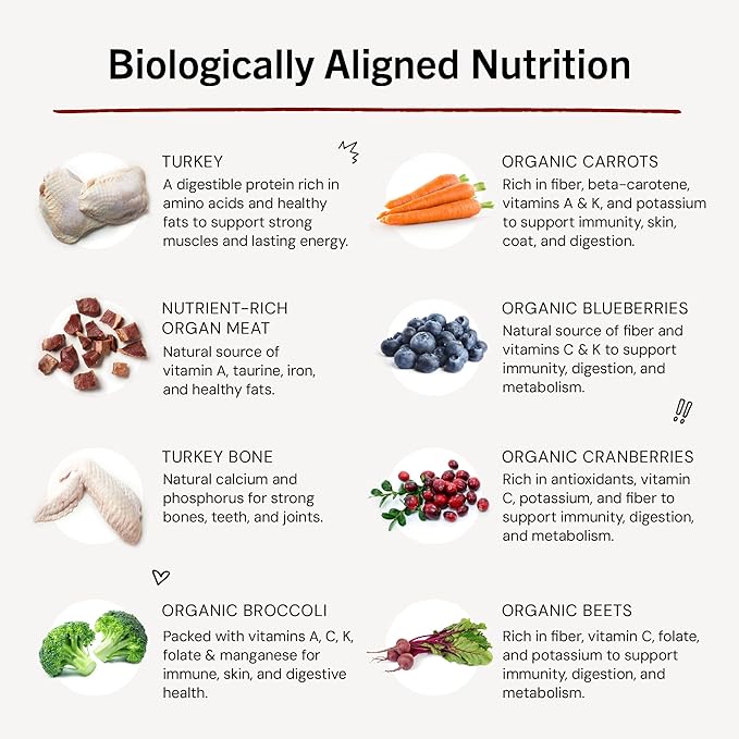 Stella & Chewy's Freeze-Dried Raw Dinner Patties - Turkey Recipe - High Protein Grain-Free Puppy & Dog Food - Perfect For Picky Eaters - 5.5 oz