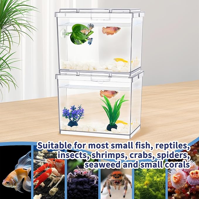 Mini Betta Fish Tank, Small Fish Bowl for Temporary Space, 0.2 Gallon Stackable Cube Tank with Artificial Plants and Gravels for Small Fish, Insect, Shrimp, Crab, Spider.(Pack-2)
