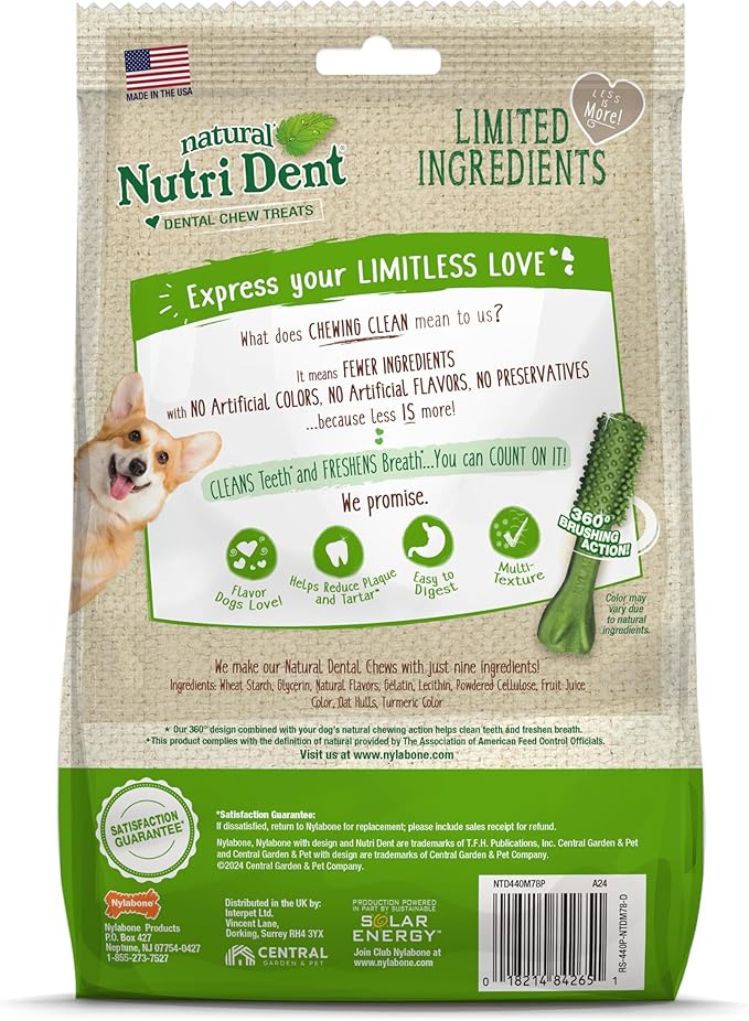 Nylabone Nutri Dent Dog Dental Chews, Natural Teeth Cleaning Treats & Breath Freshener for Dogs, Fresh Mint Flavor, Mini (78 Count)