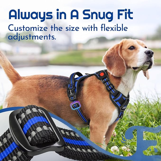 Eagloo Dog Harness Small Sized, Easy Wearing with 3 Buckles, Adjustable No Pull Pet Harness with 2 Rings for Walking, No Chock Reflective Soft Padded Vest with Control Handle, Blue & Black, S