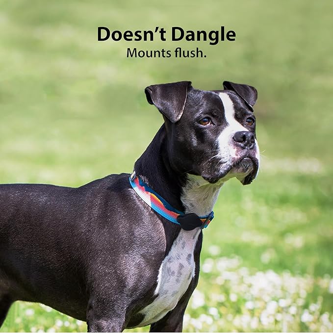 Elevation Lab TagVault™ Compact AirTag Dog Collar Mount (2 Pack) - IP68 Waterproof, Doesn't Dangle, Fits All Width Collars