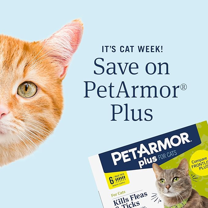 PetArmor Plus Flea and Tick Prevention for Cats, Cat Flea and Tick Treatment, 6 Doses, Waterproof Topical, Fast Acting, Cats Over 1.5 lbs