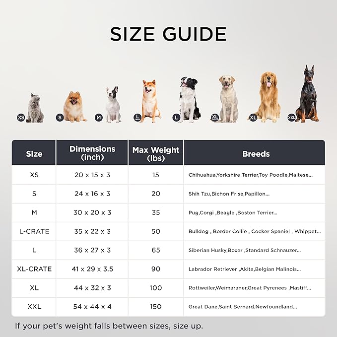 Bedsure XXL Dog Bed for Large Dogs - Orthopedic Flat Giant Pet Beds with Removable Washable Cover, Jumbo Egg Crate Foam Mat, Suitable for Pet Up to 150 lbs