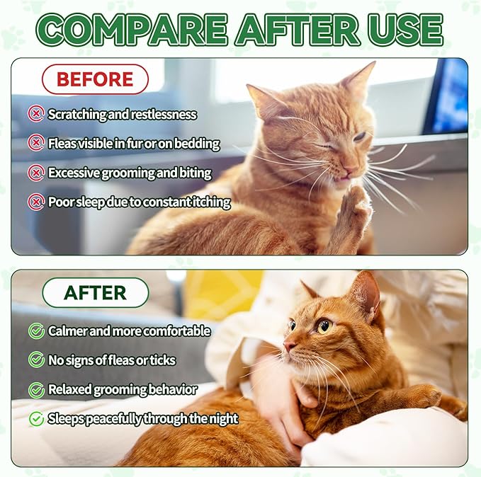 Flea & Tick Support for Cats – Natural Herbal Drops with Multivitamin – Fleas and Ticks Comfort Formula for Cat All Breeds & Ages – Bacon Flavor