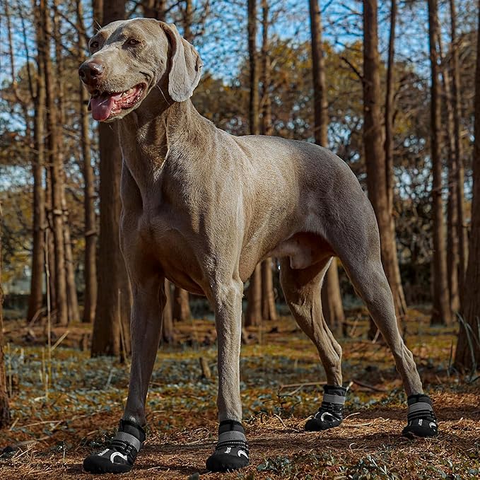 Dog Shoes, Waterproof Dog Boots & Paw Protectors with Anti-Slip Sole, 4pcs/Set Pet Dog Booties, Reflective Dog Shoes for Small Medium Large, Winter Snowy Summer Hot Pavement (Black, 4# (S))