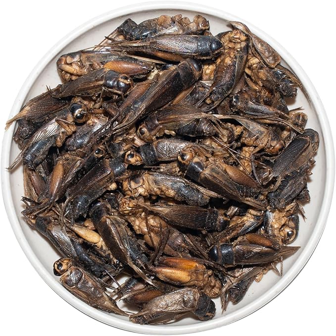 Freeze Dried Crickets – 4.5 Oz High Protein Freeze Dried Crickets, Food for Reptiles, Bearded Dragons, Lizards, Geckos, Birds, Fish,Hedgehogs, Bearded Dragon Food