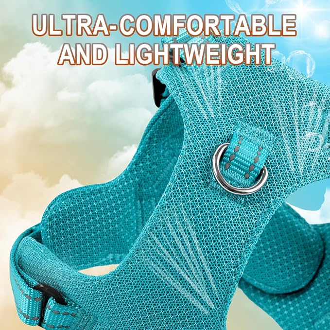 Dog Harness Step in Dog Vest Harness, Reflective Adjustable Puppy No Pull Harness Breathable Soft for Small and Medium Dogs Cats, Ocean Blue, XXS