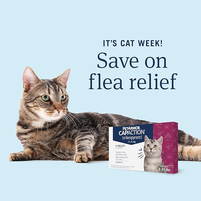PetArmor CAPACTION (nitenpyram) Oral Flea Treatment for Cats, Fast Acting Tablets Start Killing Fleas in 30 Minutes, Cats 2-25 lbs, 6 Doses
