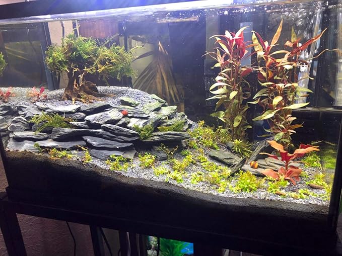 Voulosimi Natural Slate Rocks PH Neutral Stone Perfect Rocks for Aquariums, Landscaping Model,Tank Decoration,Amphibian Enclosures (7.5 LB, 1-3 inch)