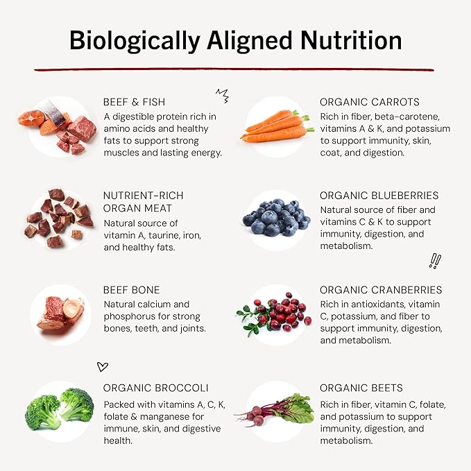 Stella & Chewy's Freeze-Dried Raw Dinner Patties - Surf 'N Turf Salmon & Beef Recipe - High Protein Grain-Free Puppy & Dog Food - Perfect For Picky Eaters - 14 oz