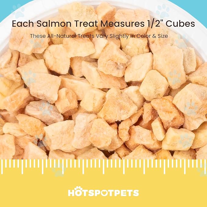 hotspot pets Freeze Dried Salmon Treats for Cats & Dogs -Made in USA-1LB Resealable Big Bag -Single Ingredient, High Protein, All Natural Grain-Free- Perfect for Training, Topper or Snack