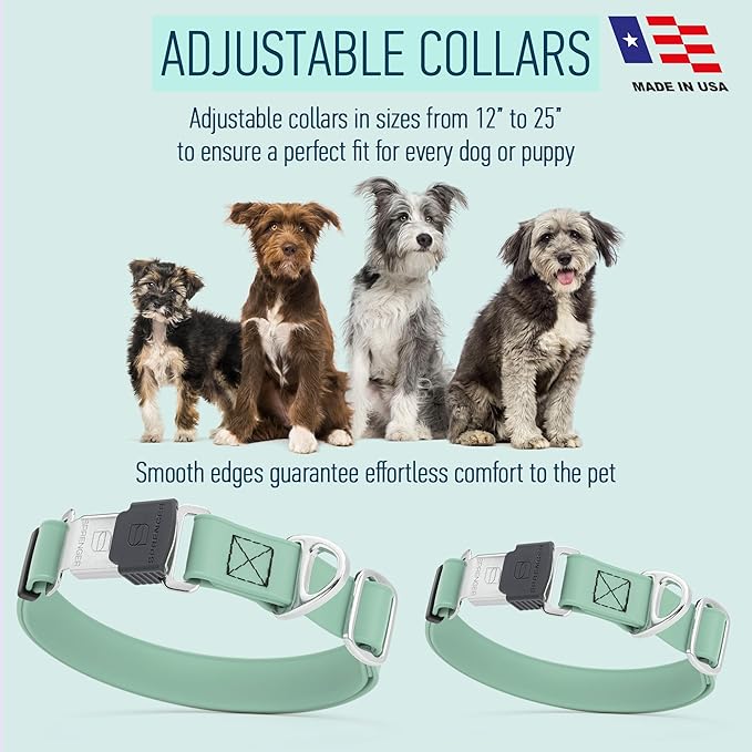 Dogline Biothane Waterproof Dog Collar with Herm Sprenger Stainless Steel Quick Release Buckle – Heavy Duty Tactical Durable Collar for Dogs – Comfortable and Safe Pet Collar, W 1" L 15-25" Sage Green