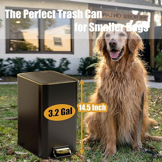 Dog Poop Trash Can Outside Stainless Steel - Metal Pooper Scooper Set - 12L Dog Waste Trash Can Outdoor with Pedal - Backyard, Yard - Removable Inner Bin, Long Handle Tray and Rake - Black and Gold