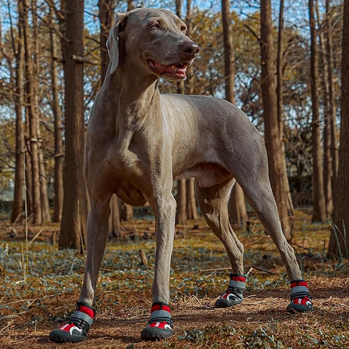 Dog Shoes Winter Snow Boots for Large Size Medium Dogs Reflective Anti-Slip Paw Protectors for Rain Booties Hot Pavement Hardwood Floors Running Water-Resistant Dog Shoes(Red, 2# (2XS))