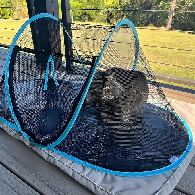 Cat Tent Outdoor, Pet Enclosure Tent Suitable for Cats and Small Animals, Indoor Playpen Portable Exercise Tent with Carry Bag（Black）