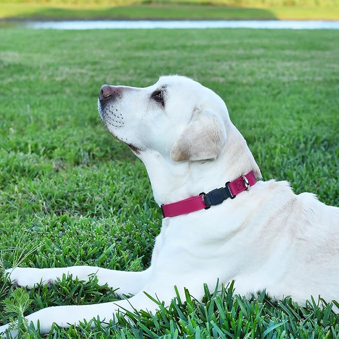 Dogline Biothane Waterproof Dog Collar with Herm Sprenger Stainless Steel Quick Release Buckle – Heavy Duty Tactical Durable Collar for Dogs – Comfortable and Safe Pet Collar, W 1" L 15-25", Magenta