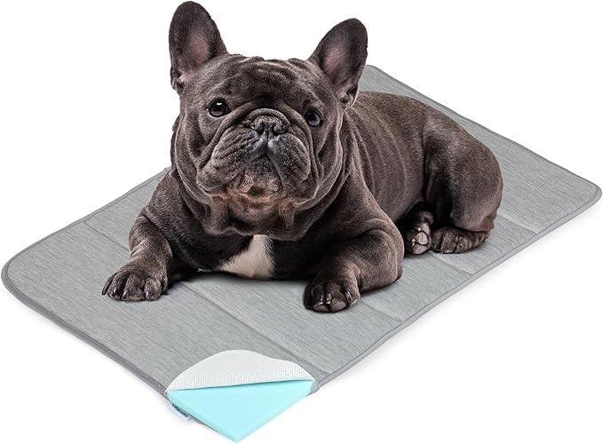 Dog Cooling Mat for Medium Dogs - 30x20 Orthopedic Memory Foam Pet Pad for Summer, QMAX>0.5, Washable Premium Comfort Crate Pad for Your Furry Companion, Grey