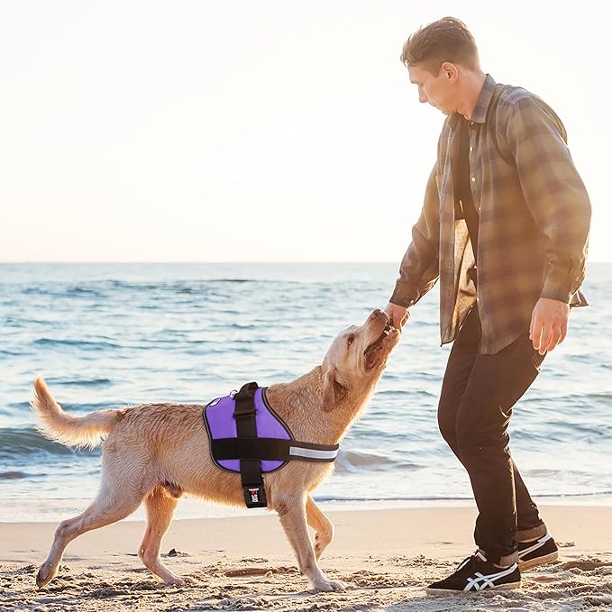 Dogline Dog Harness, Reflective No-Pull Adjustable Vest with Handle for Walking, Training, Breathable, No - Choke Harness for Small, Medium or Large Dogs Room for Patches Girth 22"-28" in Purple