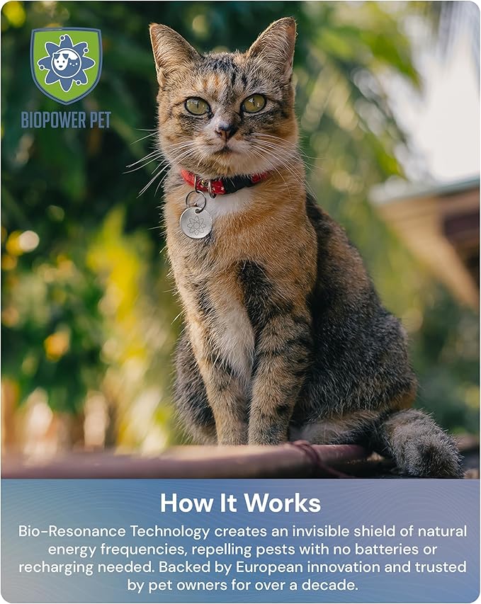 Natural Flea & Tick Repellent Collar Tag for Dogs & Cats – BioPower Pet Shield – Safe for Pets When Used as Directed – Lasts 1 Full Year - Small/Regular Tag Bundle (1 Pack)